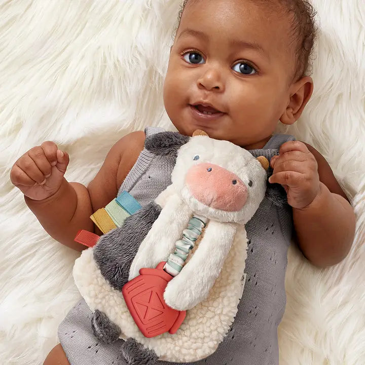 Itzy Ritzy - Itzy Friends Itzy Lovey Plush with Teether